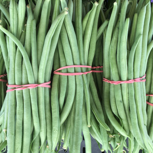 Cobra Pole Bean CO - ON SALE