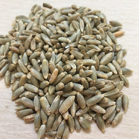 Dark Northern Rye CO - ON SALE