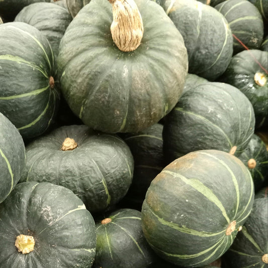 Green Hokkaido Kabocha