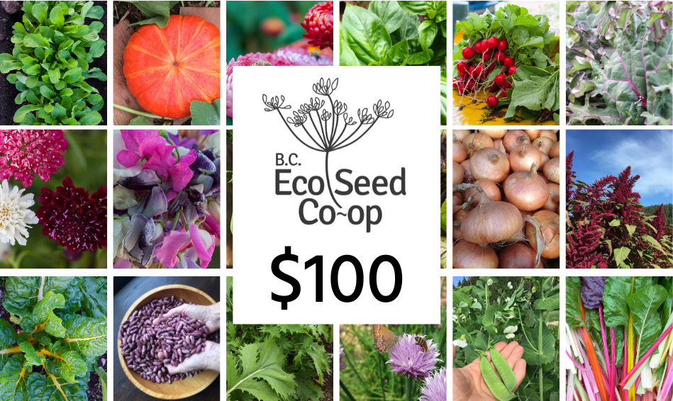 A photo of different vegetables and flowers with the BC Eco Seed Co-op