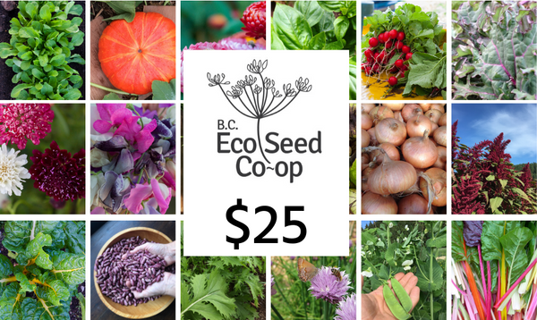 A photo of different vegetables and flowers with the BC Eco Seed Co-op