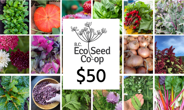 A photo of different vegetables and flowers with the BC Eco Seed Co-op