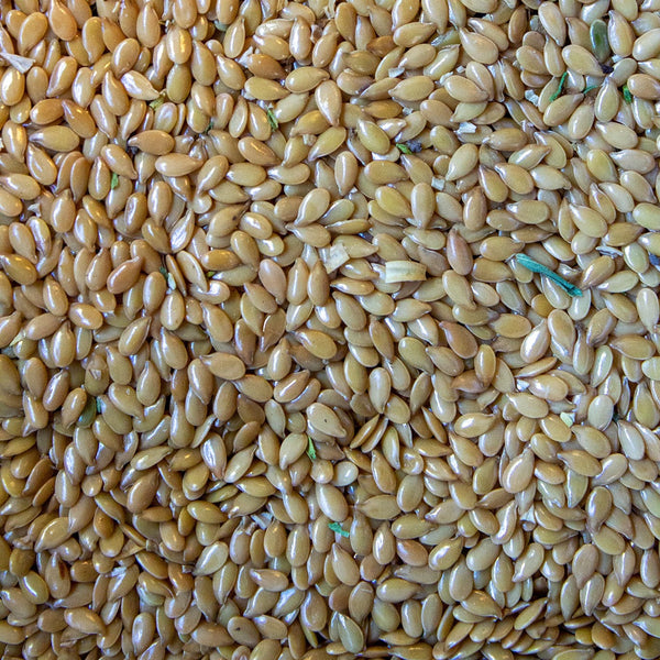 Golden Flax