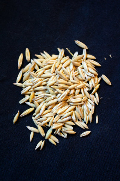 Rodney Oats