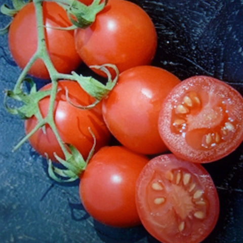 Amish Salad Tomato