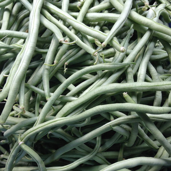 Emerite Pole Bean