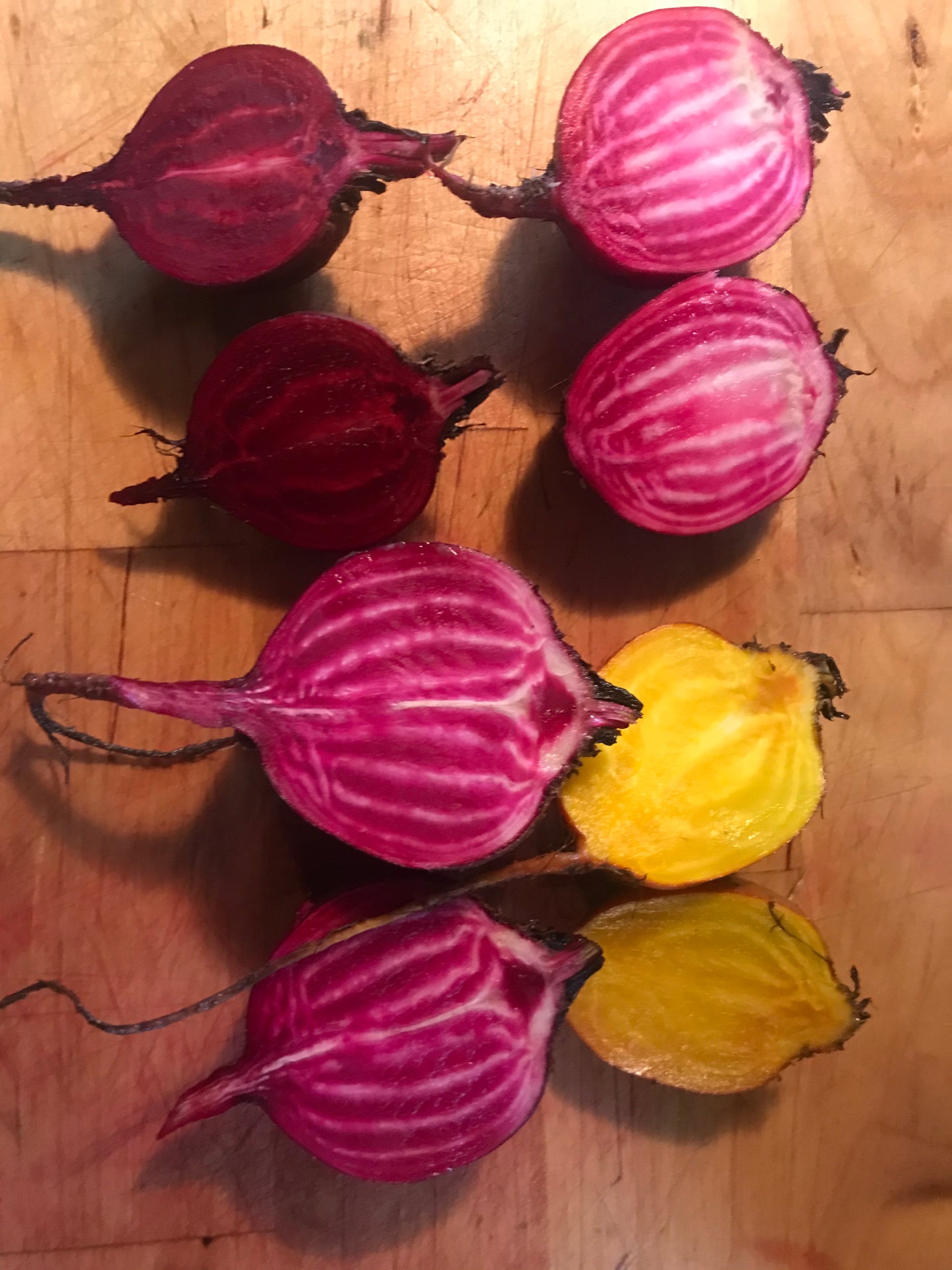 F2 Striped/Gold Beet Mix CO