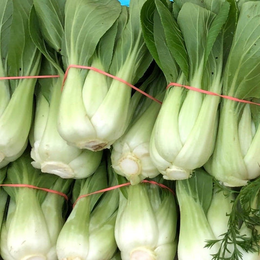 Ching Chiang Bok Choi CO