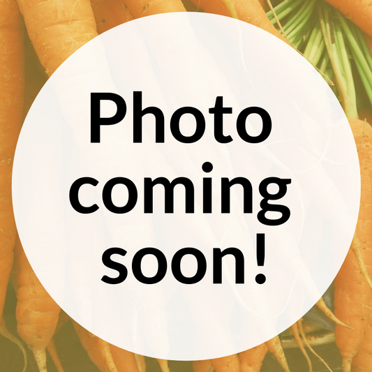 Amsterdam Gold Carrot