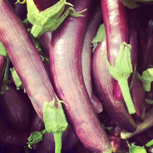 Long Purple Eggplant  CO