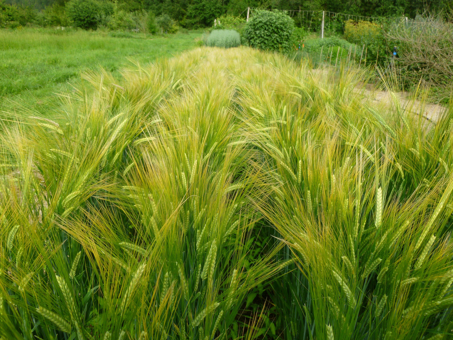 Full Pint Malting