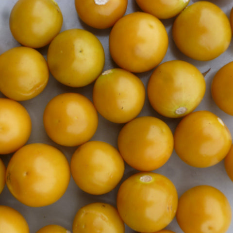 Goldenberry (Cape Gooseberry)
