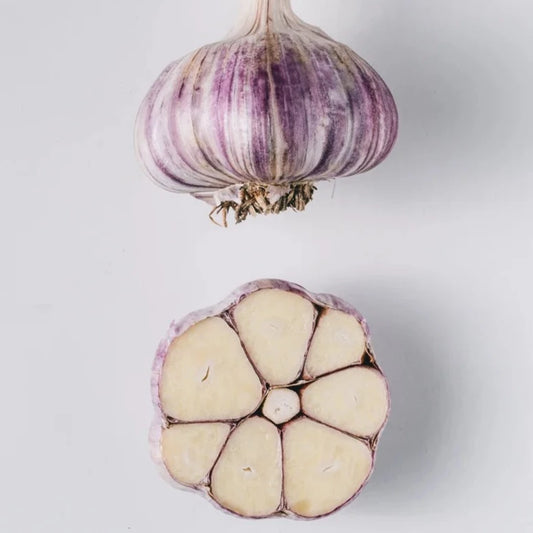 Purple Russian