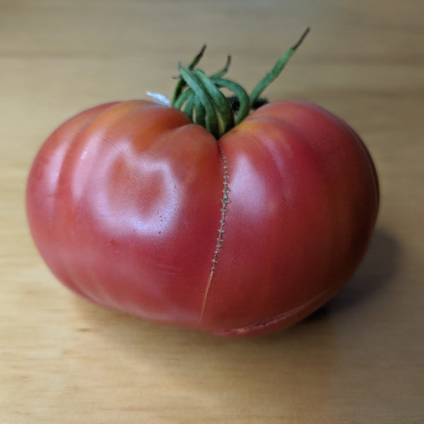 Pruden's Purple Tomato