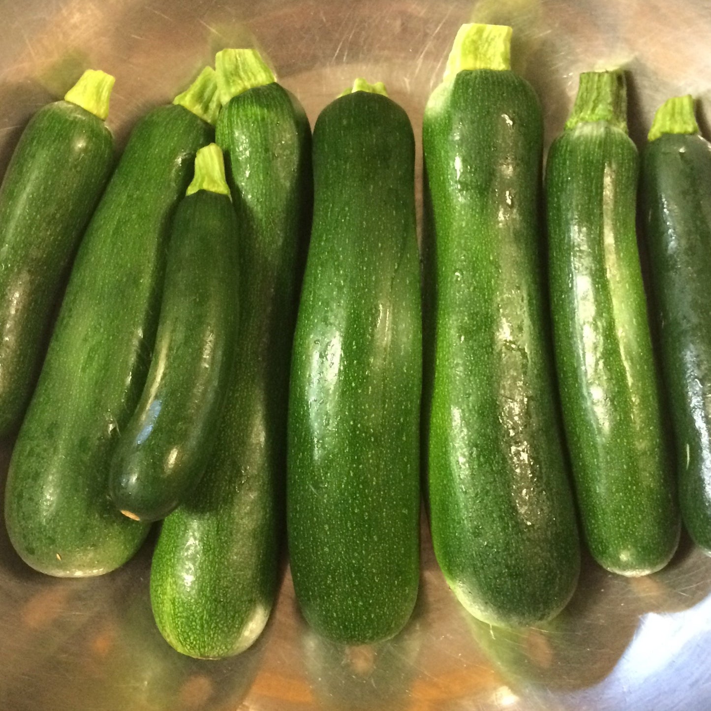 Dark Star Zucchini