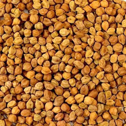 Desi Chickpea CO