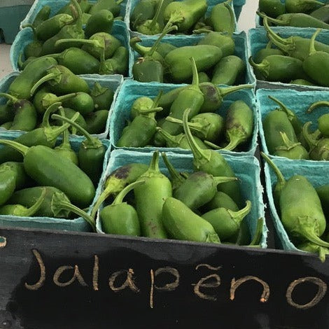 Early Jalapeno Pepper CO