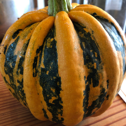 Kamo Kamo Winter Squash CO